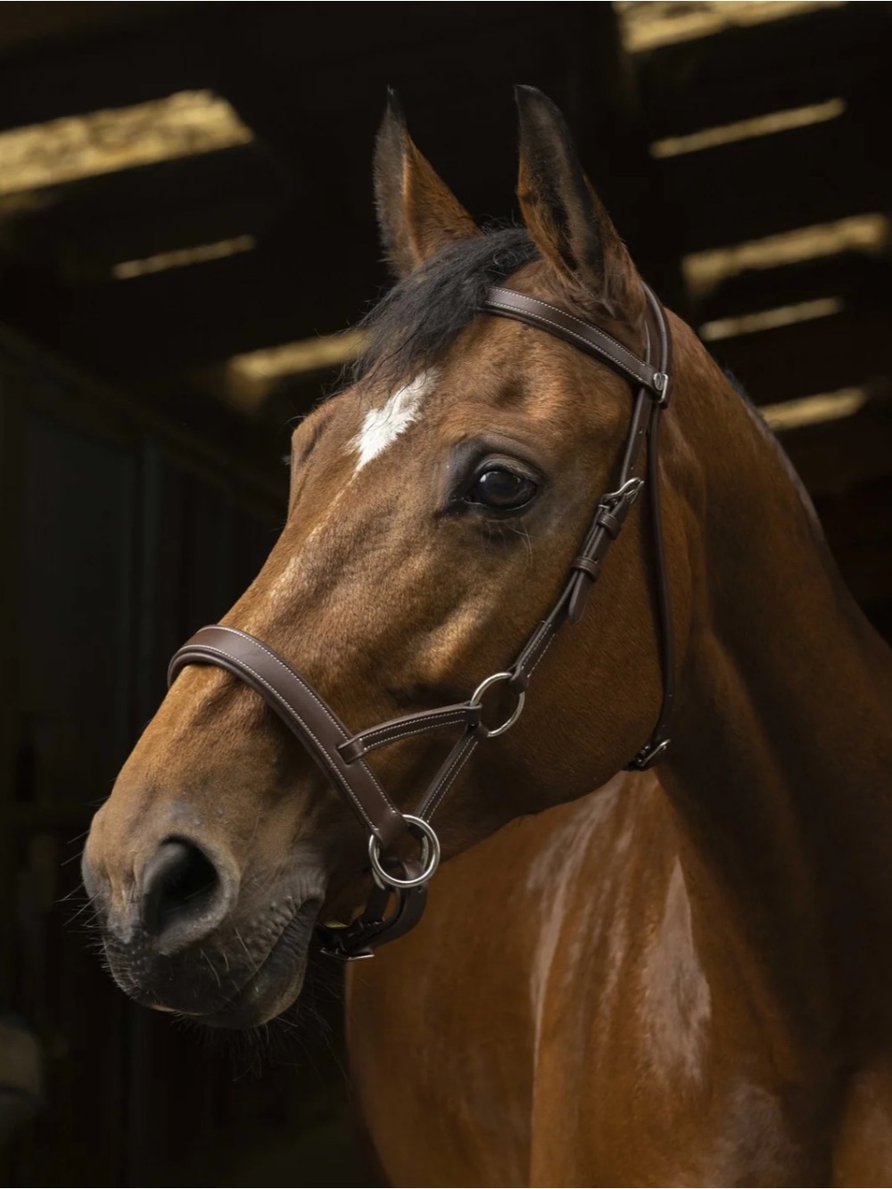 Bitless Bridle Brown Leather with braided reins